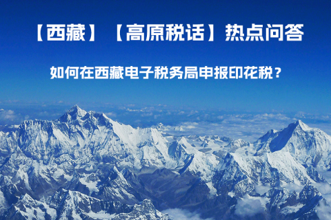 如何在西藏自治區(qū)電子稅務(wù)局申報(bào)印花稅？