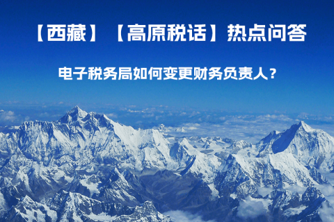電子稅務(wù)局如何變更財(cái)務(wù)負(fù)責(zé)人？