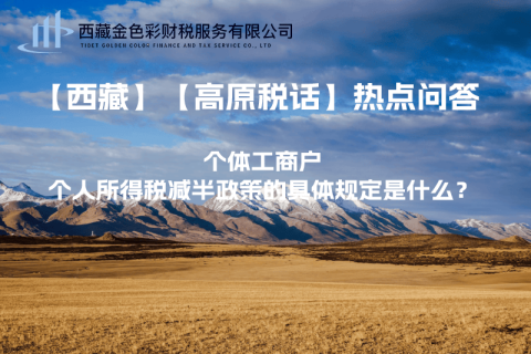 個體工商戶個人所得稅減半政策的具體規(guī)定是什么？